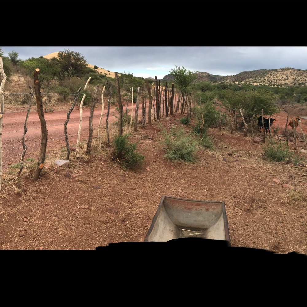 Meet your Posher, Celia